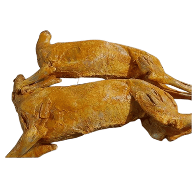 Dumpukht
